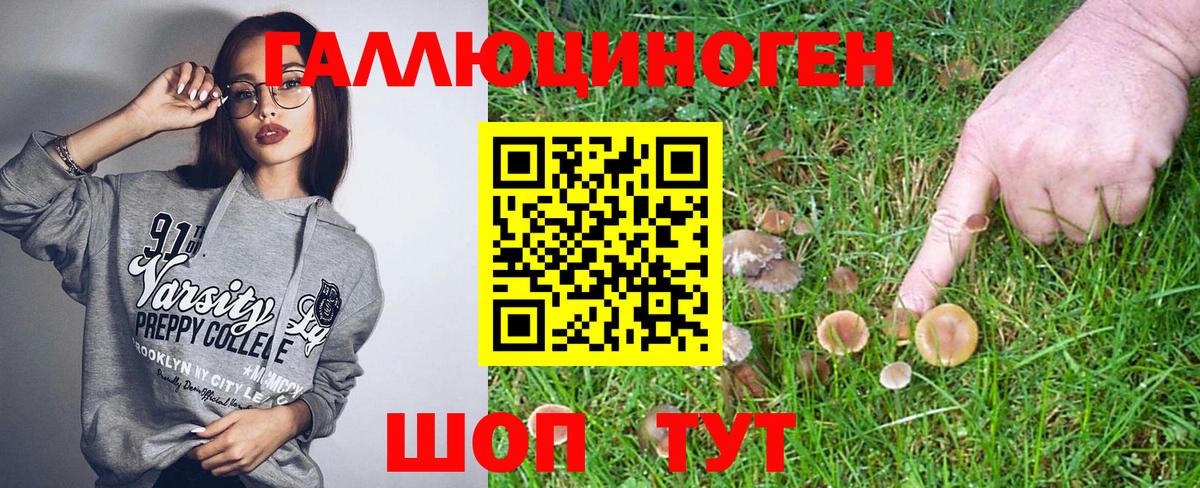 Галлюциногенные грибы ЛСД  Галлюциногенные грибы Psilocybine cubensis  Нижний Новгород  цены   Вход с VPN 